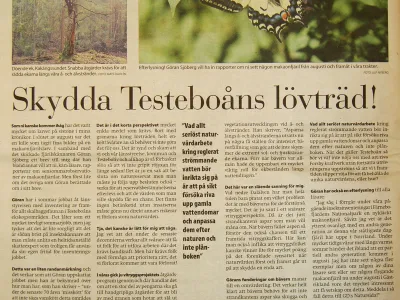 A Look Back: Protecting Testeboån's Deciduous Trees