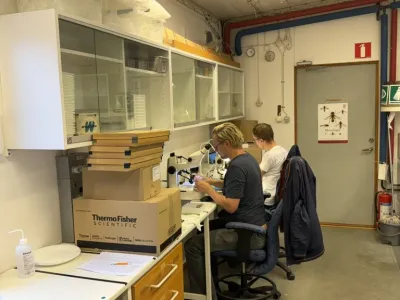 Taxonomic Workshop on Hymenoptera and Diptera