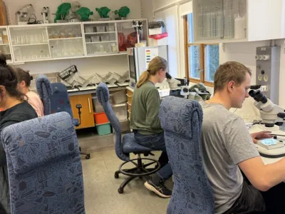 Taxonomic Workshop on Hymenoptera and Diptera
