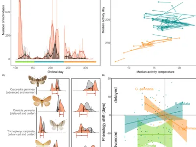 Figure from: Trait-mediated phenological shifts in moths under climate change: evidence for alternative response strategies